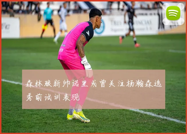 森林狼新帅诺里或曾关注杨瀚森选秀前试训表现