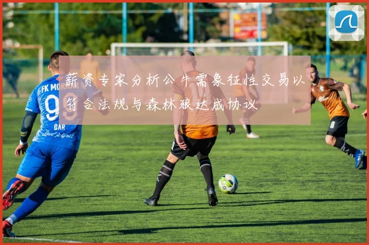 薪资专家分析公牛需象征性交易以符合法规与森林狼达成协议